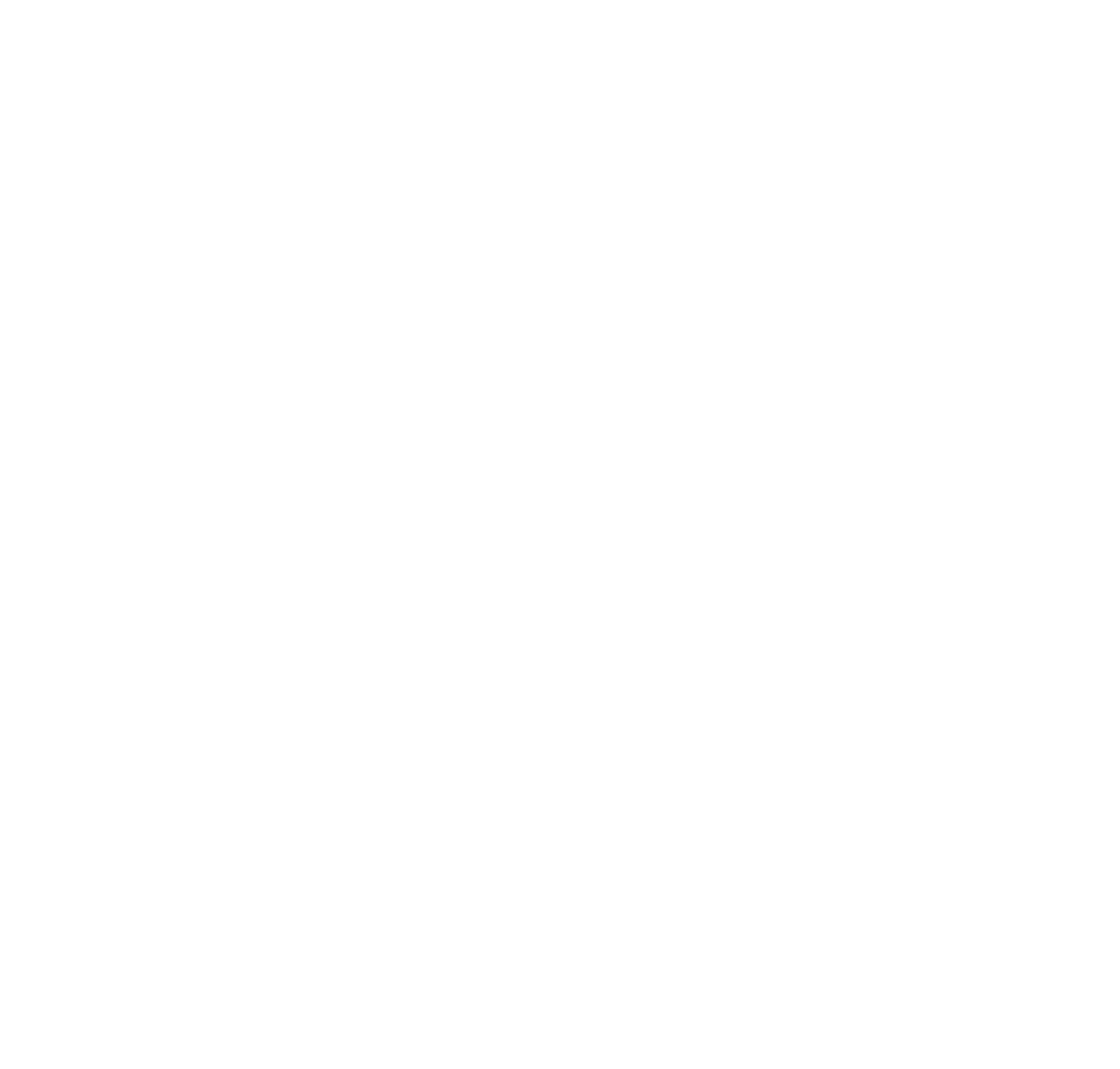 80 Jahre Sturmvogel II